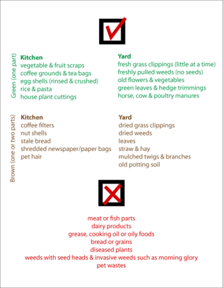 Composting_guide