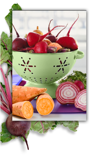 Veggies_nutrition_landing_img Veggies_nutrition_landing_img