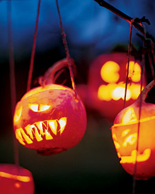 La710_hall07_turnip_l